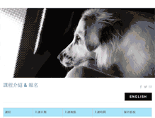 Tablet Screenshot of fetchingpaws.com